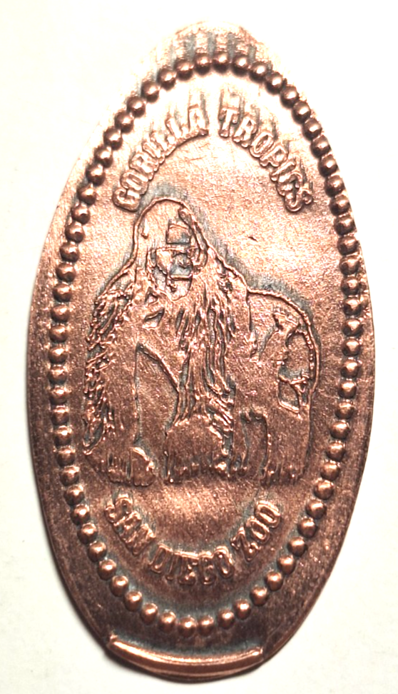 Picture 6 of 21