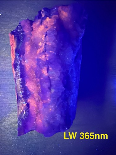 Permineralisiertes versteinertes Regenbogen versteinertes Holz Holbrook Arizona UV REAKTIV - Bild 11 von 13