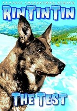 Rin Tin Tin - Test (DVD) Monte Blue Rin Tin Tin Jr. Grant Withers (US IMPORT)