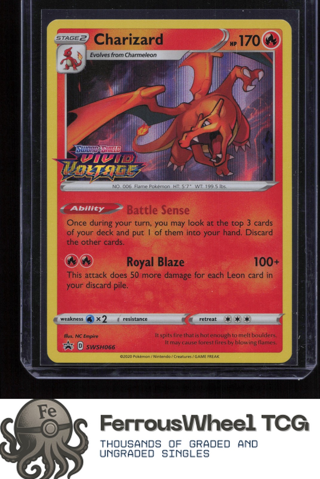 Charizard SWSH066 - SWSH: Sword & Shield Promo Cards - (NM)