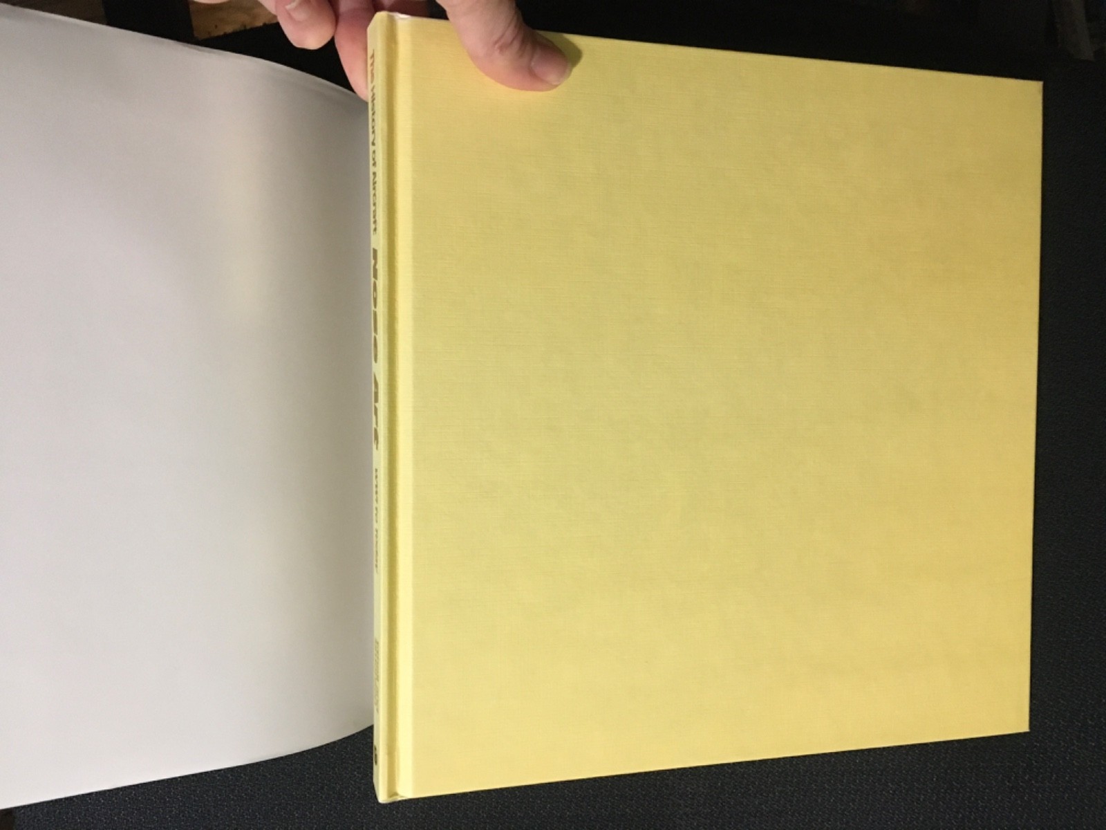 HISTORY OF AIRCRAFT NOSE ART: WWI to Today by Ethell & Simonsen WWII Aviation HC