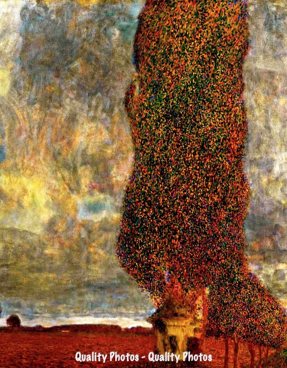 Large Poplar Tree II Coming Storm 8.5x11