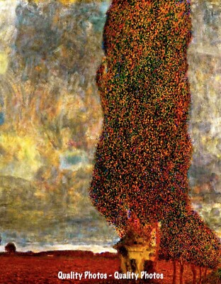 Large Poplar Tree II Coming Storm 8.5x11