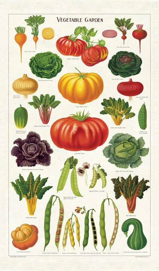 Cavallini & Co. Tea Towel - Thumbnail 3