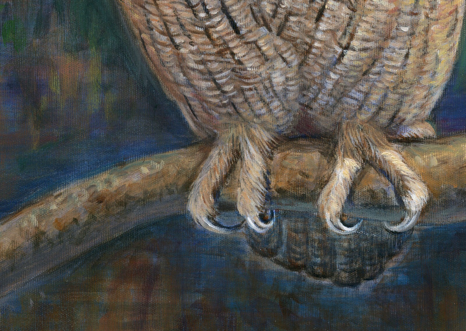 Picture 5 of 5