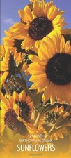 Birthday Calendar: Sunflowers Perpetual Birthday Anniversary Calendar 5x11 Speci