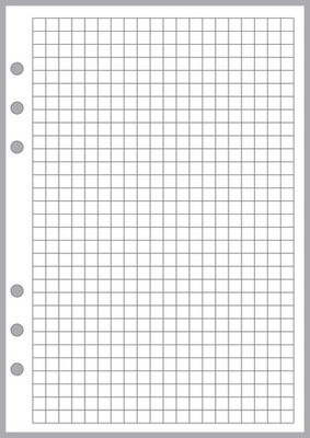 A5 Size Graph Paper Refill, Sized and Punched 6-Ring A5 Notebooks by Filofax,...