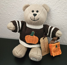 Starbucks Bearista Bear Autumn 2009 Edition Pumpkin Fall