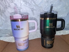 NWT A set of Stanley x Wicked For Good 20oz Quencher Tumbler Elphaba Glinda