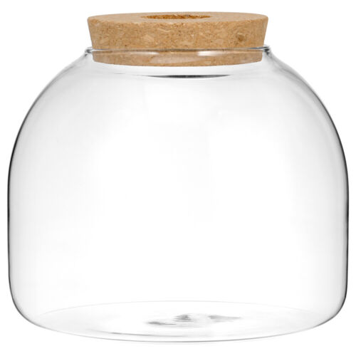 Eco Bottle Ornaments Hydroponic Plants Terrarium Glass Container