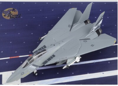 Easy model MRC 1/72 Grumman F-14D Tomcat  USN VF-2 Bounty Hunters #37190 USA