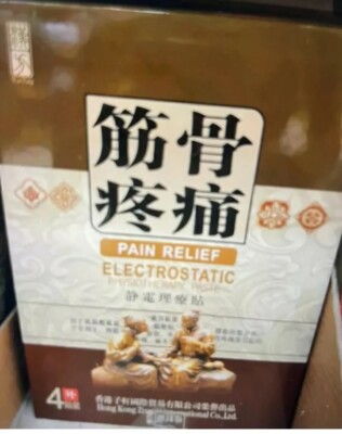 2盒筋骨疼痛静电理疗贴 Jing Gu Teng Tong Jing Dian Li Liao Tie 2 Box