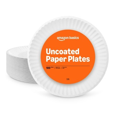 Basics 9'' Uncoated White Paper Plates 100 Count Pack of 1