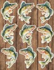Walleye Fish Die Cut Vinyl Stickers Set Scrapbooking Laptop Waterbottle