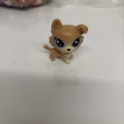 LPS Littlest Pet Shop #94 Freesia Fuzzy Face Tan Brown Corgi Dog Puppy Blue Eyes
