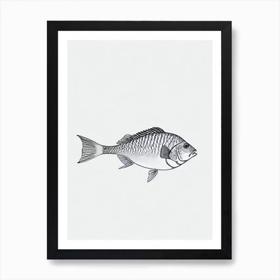 John Dory Black & White Drawing Art Framed Wall Art Poster Canvas Print Picture
