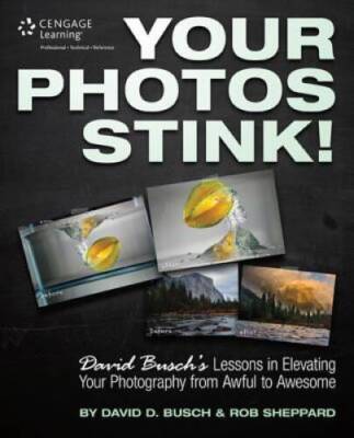Your Photos Stink!: David Busch's Lessons in Elevating Your Photography f - GOOD