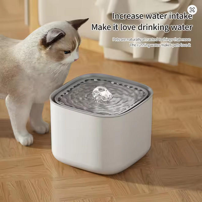 Fontaine eau pour chat automatique et silencieuse de 3L idéale pour vos week-ends