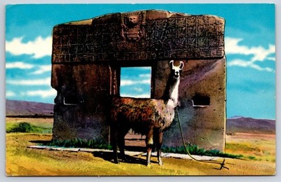 Antique Bolivia Postcard TIAHUANACU Puerta del Sol Llama 1964