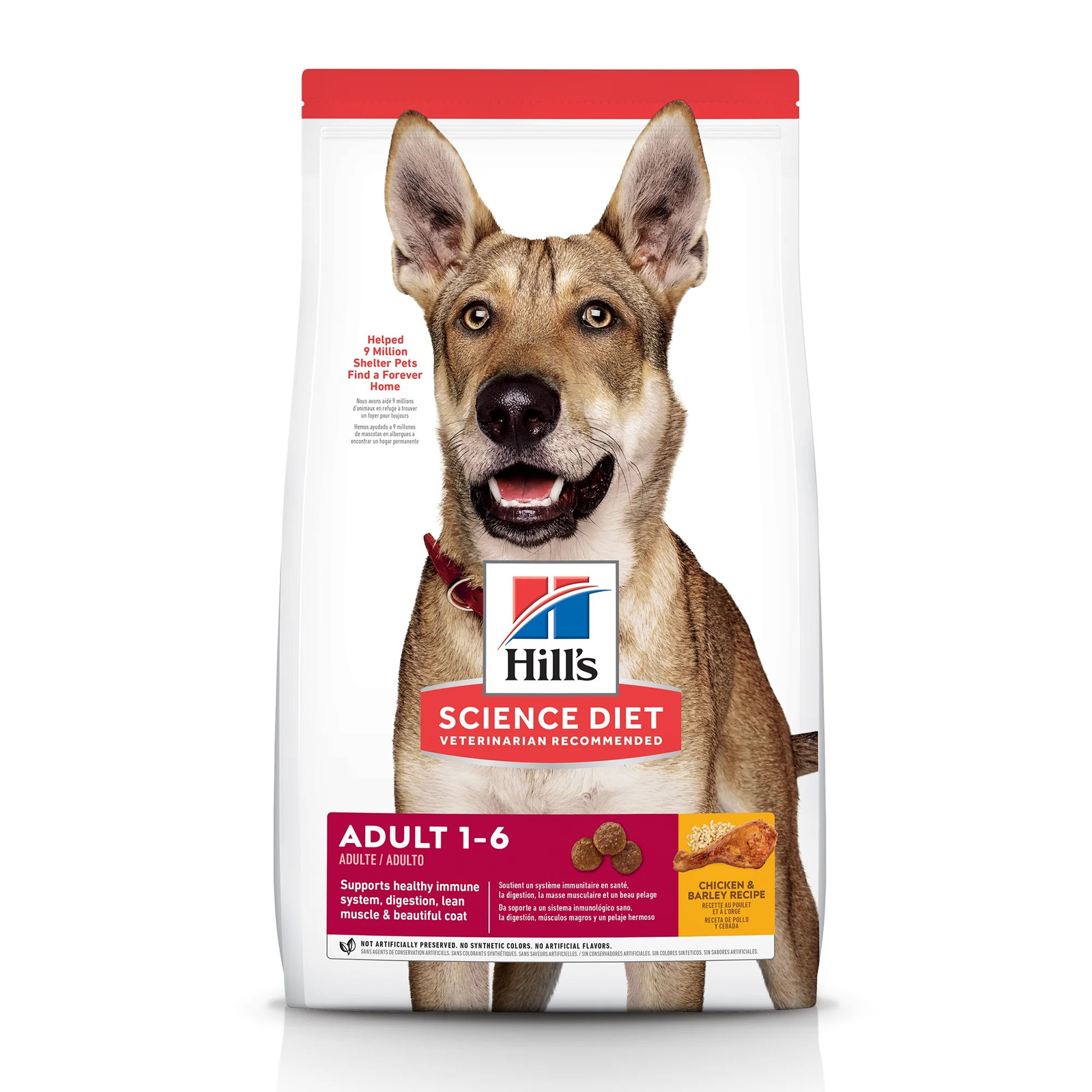 Chicken & Barley Dry Dog Food, 35Lb Bag