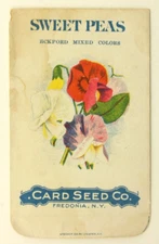 Antique C.1919 Card Seed Co Sweet Peas Packet Fredonia NY Stecher Litho