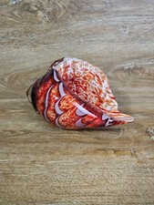 Hand Blown Art Glass Conch Sea Shell Decor Sculpture Red, Orange  White Swirl