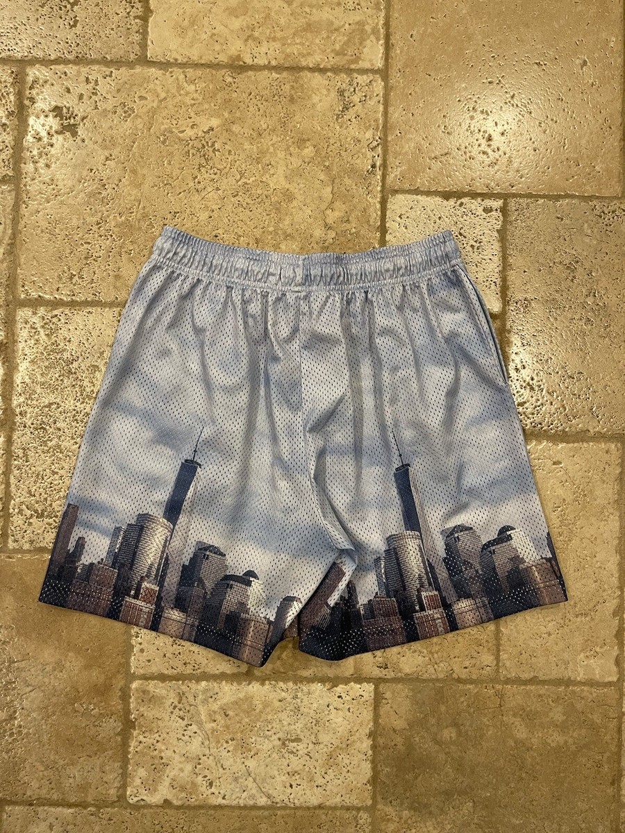 Eric Emanuel EE New York City NYC Skyline Blue Shorts | eBay
