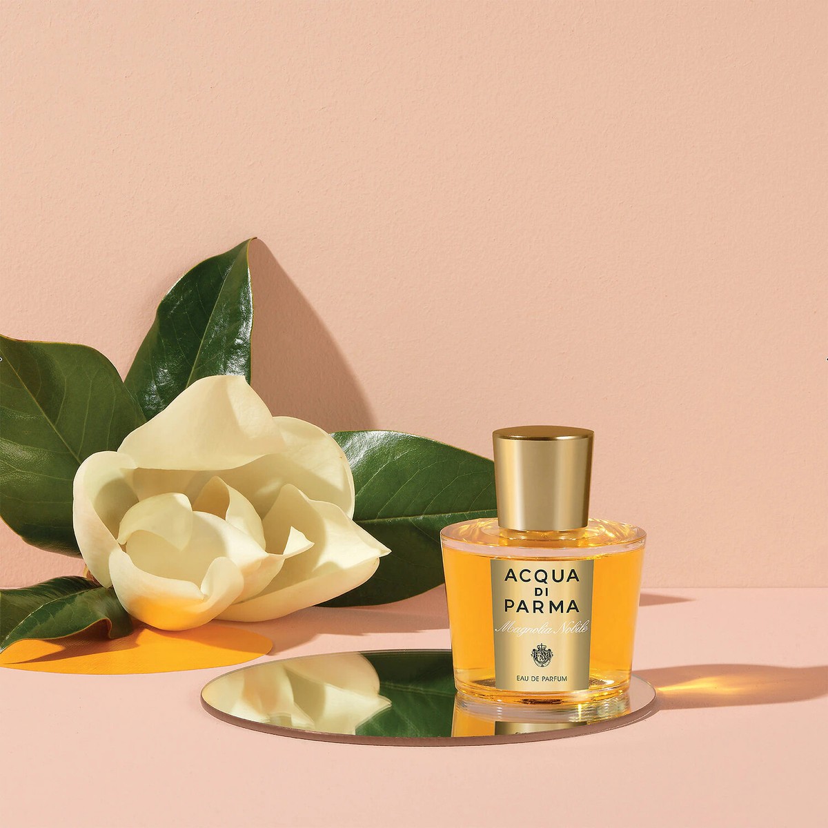 Acqua di Parma Magnolia Nobile 3.4 oz / 100 ml Eau de parfum | eBay