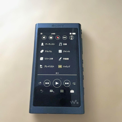 Sony Walkman NW-A55 Horizon 16GB Hi-Res Audio Player Bluetooth funktionstüchtig