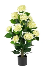 Naturae Decor White Lime Hydrangea Tree - Lifelike Artificial Indoor and Outd...