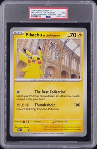 Pikachu at the Museum | eBay