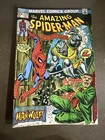 The Amazing Spider-Man #124 (Marvel Comics September 1973)