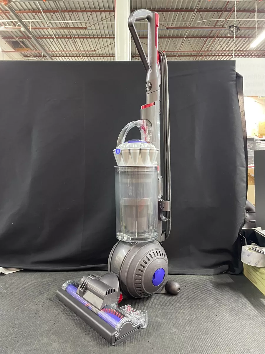 Dyson v8 2024 animal pro+
