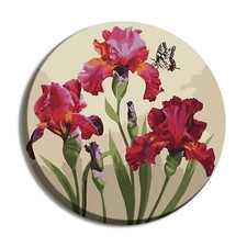 Ideyka Painting by Numbers kit Exquisite irises KHO-R1032