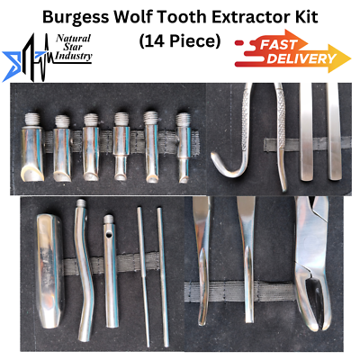 Lot De 14 Extracteurs De Dents De Loup Pour Chevaux – Acier Inox – Neuf – Dentisterie équine
