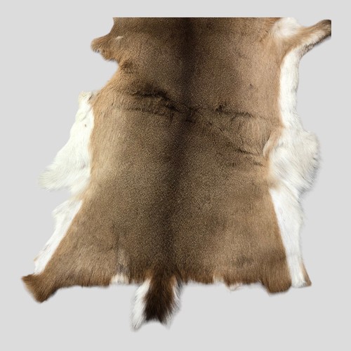 Whitetail Deer Skin Pelt Hide Rug 53”x35” Rustic Cabin Virginia Wall