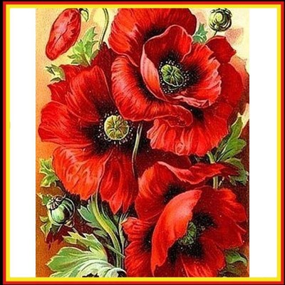 5D DIY Square Diamond Diamond Painting Blooming red flowers Drawing