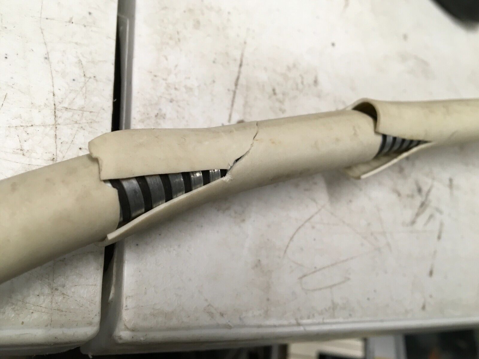 Sunnex Series 700 Halogen Gooseneck Lamp HS747-20D-O 12V/20W