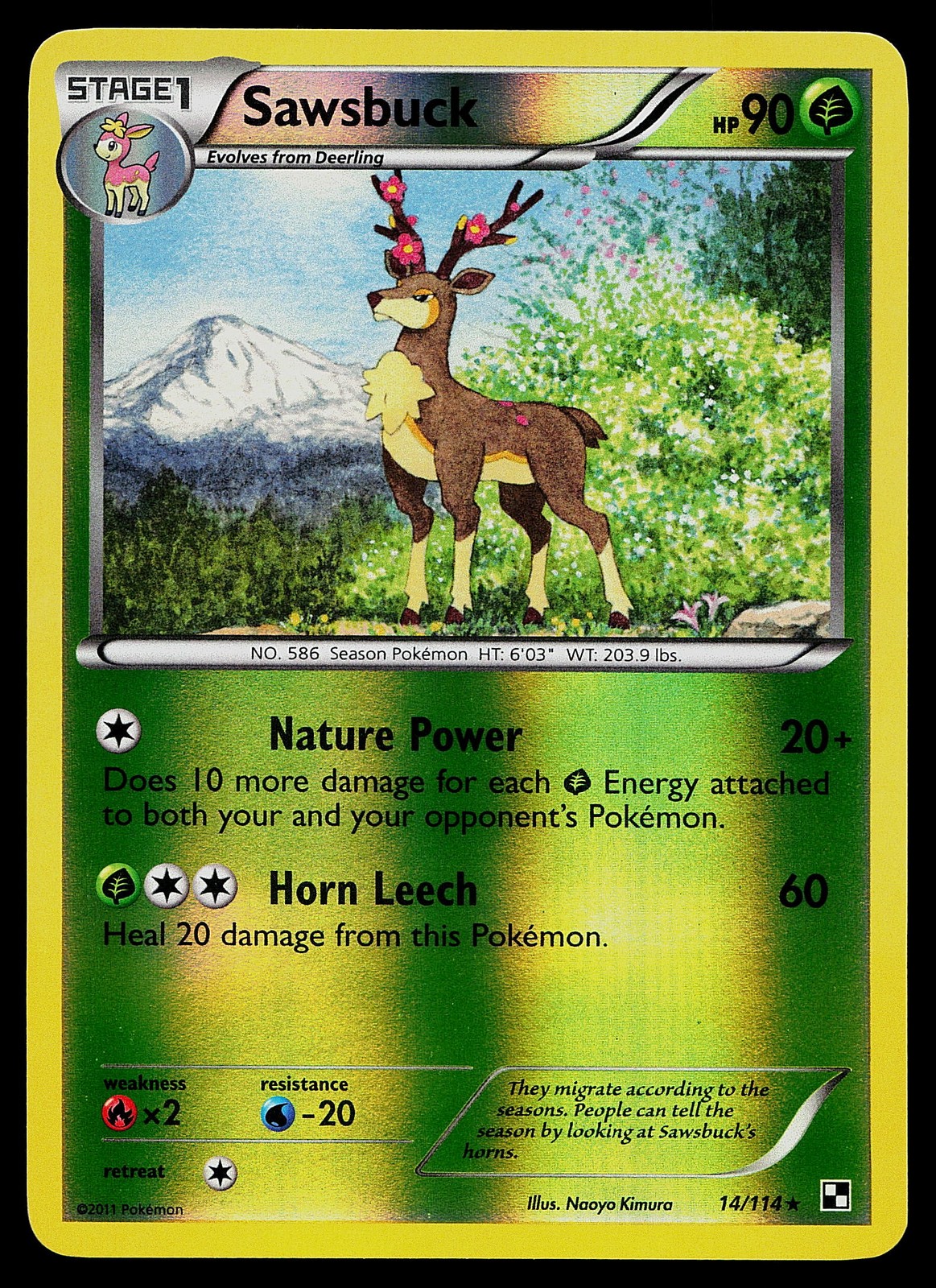 Pokemon Card - Sawsbuck Black and White 14/114 Reverse Holo