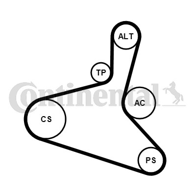 Continental CTAM 6DPK1195K2 V-Ribbed Belt Set for Audi,Ford,Seat,Skoda,VW