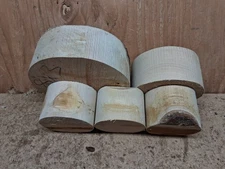 Big Leaf Maple Wood Turning Bowl Blanks Five Western