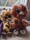 Sx TY BEANIE BOOS Animals PETS  Giraffe GERTIE Emu ORSON Bundle SOFT TOYS LOT