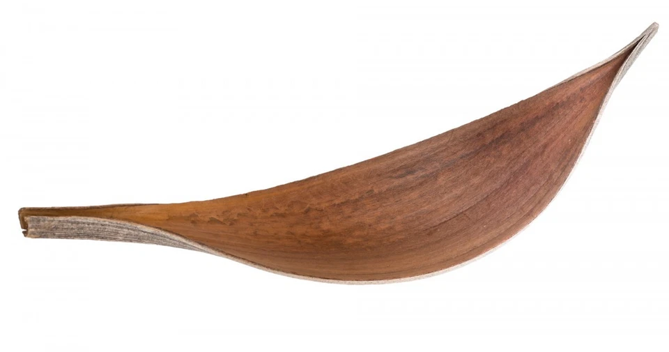 NaDeco Kokosblatt medium Natur 15-40cm | Palmen Blatt | Kokoschale | Dekoblatt