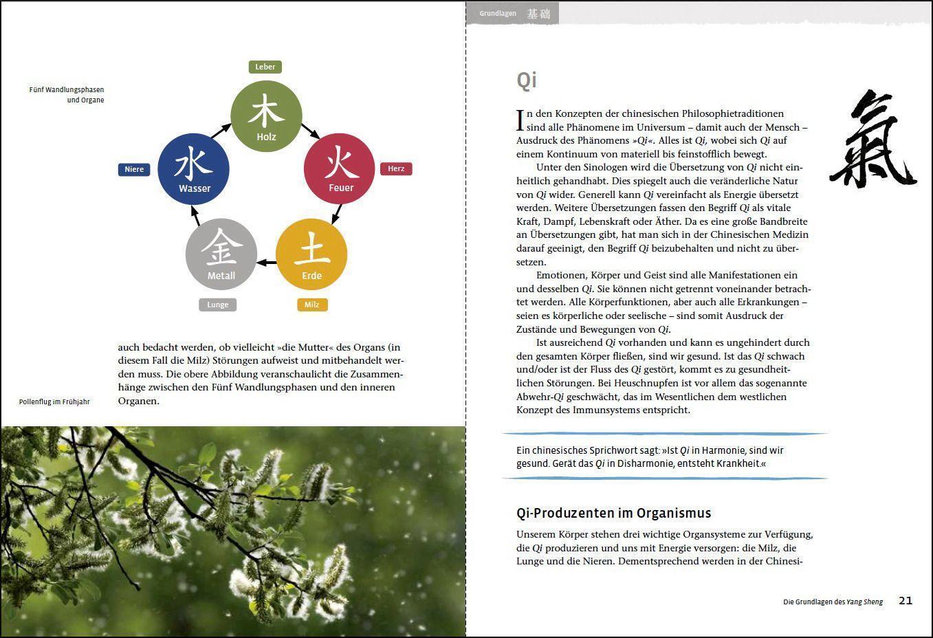 Thumbnail - Johannes Bernot (u. A.) | Heuschnupfen (yang Sheng 3) | Taschenbuch |