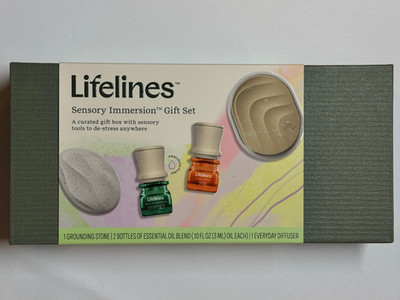 Lifelines Sensory Immersion Set Grounding Stone Fidget Essential Oil Diffuser