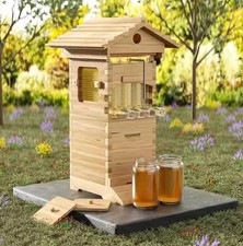 Auto Shed Full Set 10 X Beehive Honey Hive Frame Mini Beekeeping Brood Box