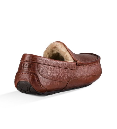 Slipper 1013521 Cognac Ugg De Tout Ascot Grain Hommes 100original Neuf Cuir Scotch 0nOPkw