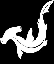 Hammerhead Shark #2,Mammal Beautiful decal sticker.