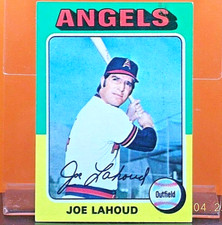 Click to enlarge Joe Lahoud