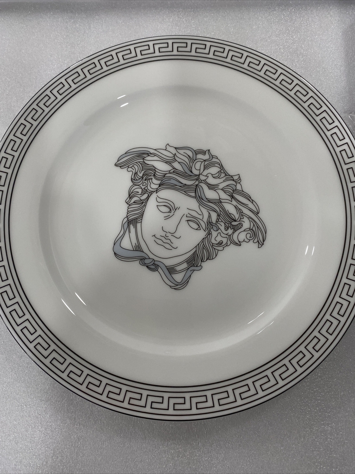 Rosenthal Versace Plates Brand New In It’s Original Box. 10” and 8